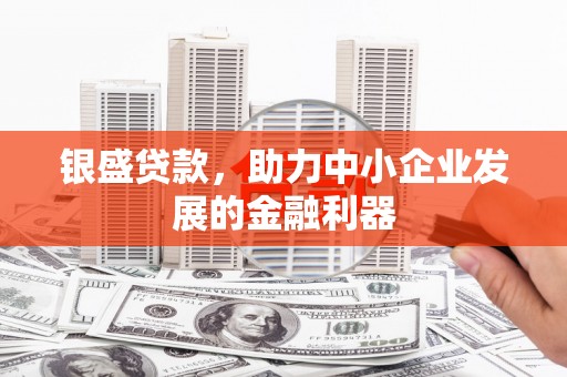 平舆银盛贷款，助力中小企业发展的金融利器