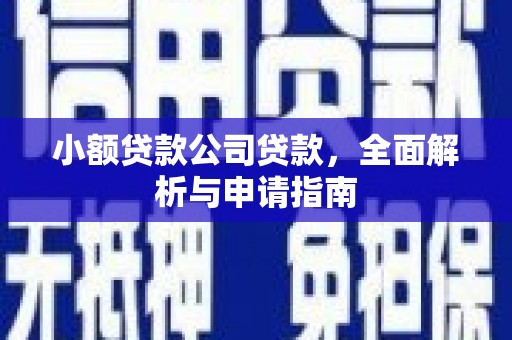 平舆小额贷款公司贷款，全面解析与申请指南