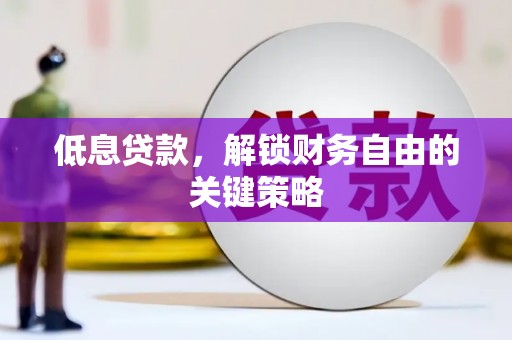 平舆低息贷款，解锁财务自由的关键策略