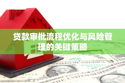 平舆贷款审批流程优化与风险管理的关键策略