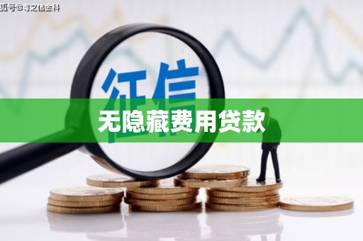 平舆无隐藏费用贷款