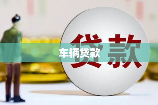 平舆车辆贷款