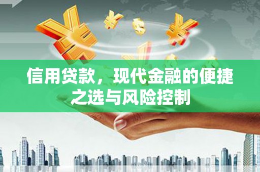 平舆信用贷款，现代金融的便捷之选与风险控制