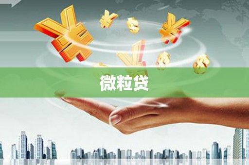 平舆微粒贷