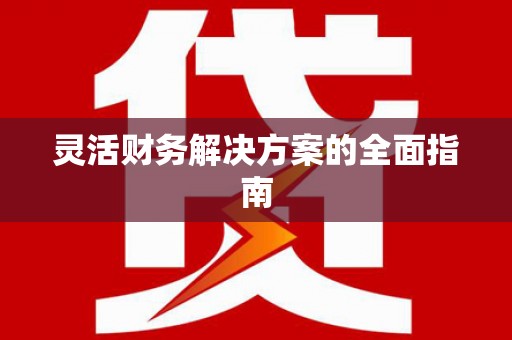 平舆灵活财务解决方案的全面指南