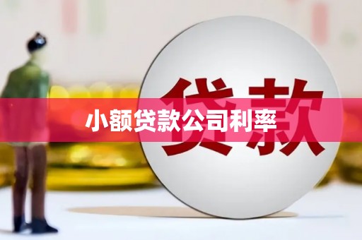 平舆小额贷款公司利率