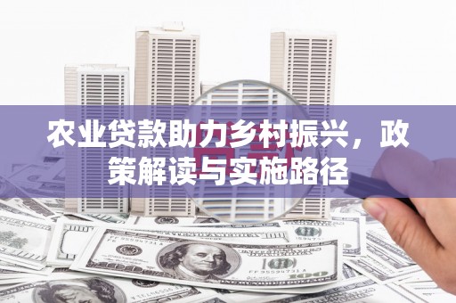 平舆农业贷款助力乡村振兴，政策解读与实施路径