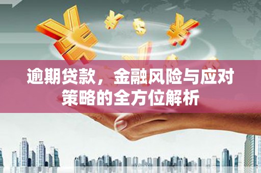 平舆逾期贷款，金融风险与应对策略的全方位解析