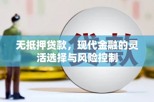 平舆无抵押贷款，现代金融的灵活选择与风险控制