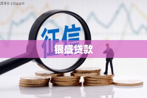 平舆银盛贷款