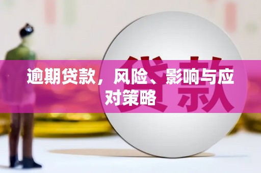 平舆逾期贷款，风险、影响与应对策略