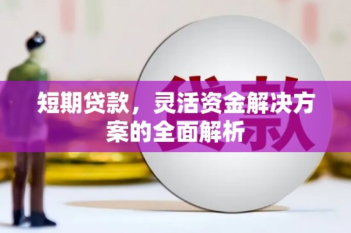 平舆短期贷款，灵活资金解决方案的全面解析