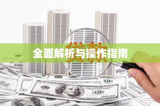 平舆全面解析与操作指南