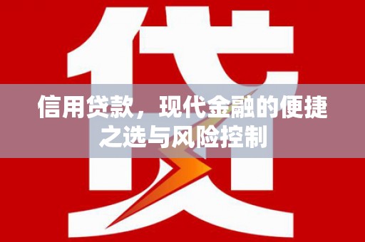 平舆信用贷款，现代金融的便捷之选与风险控制