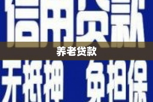 平舆养老贷款