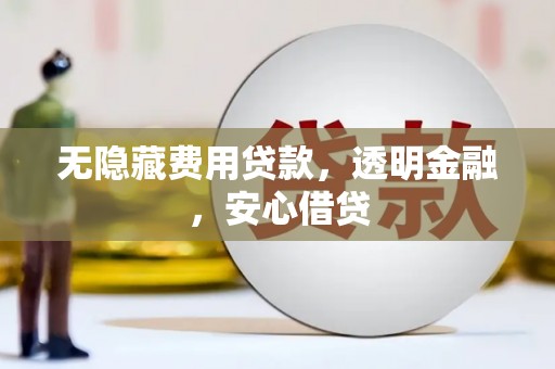 平舆无隐藏费用贷款，透明金融，安心借贷