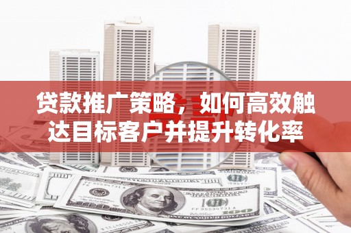 平舆贷款推广策略，如何高效触达目标客户并提升转化率