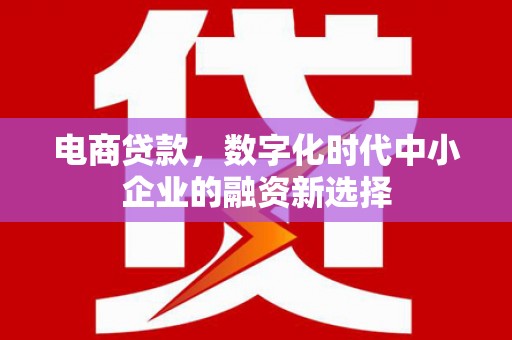 平舆电商贷款，数字化时代中小企业的融资新选择