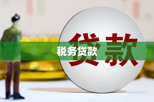 平舆税务贷款