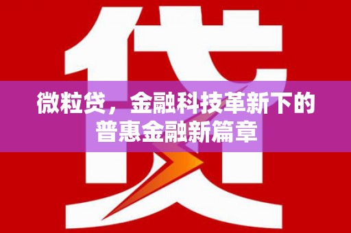 平舆微粒贷，金融科技革新下的普惠金融新篇章
