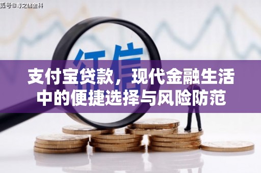平舆支付宝贷款，现代金融生活中的便捷选择与风险防范