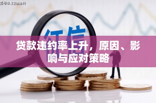平舆贷款违约率上升，原因、影响与应对策略
