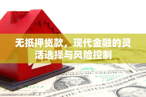 平舆无抵押贷款，现代金融的灵活选择与风险控制
