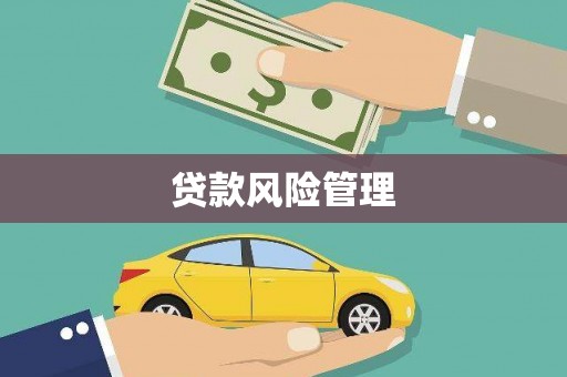 平舆贷款风险管理