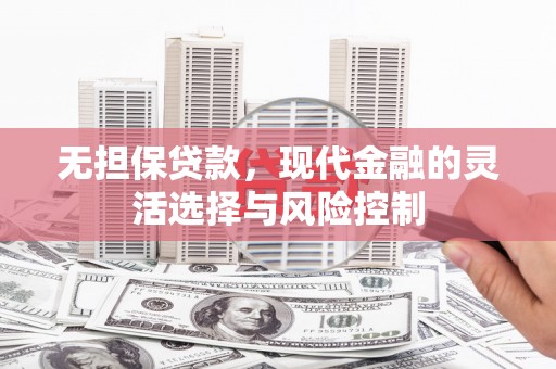 平舆无担保贷款，现代金融的灵活选择与风险控制