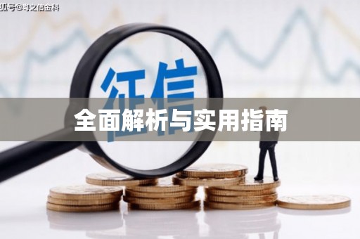 平舆全面解析与实用指南