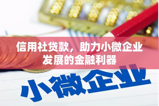 平舆信用社贷款，助力小微企业发展的金融利器