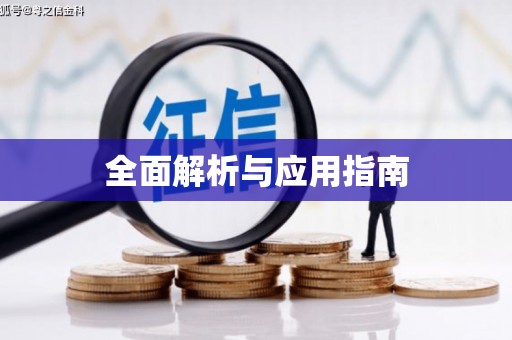 平舆全面解析与应用指南
