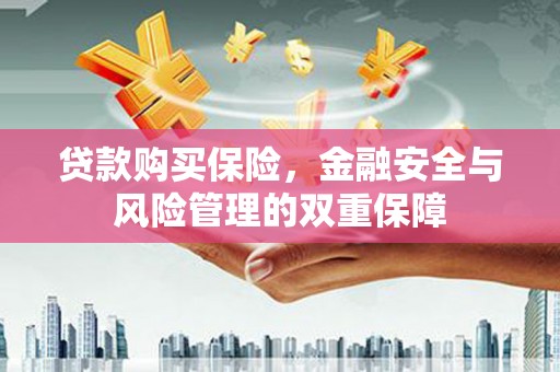 平舆贷款购买保险，金融安全与风险管理的双重保障