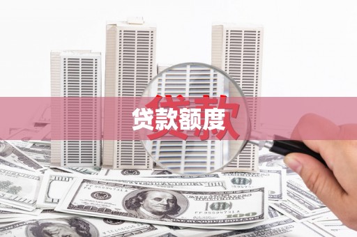 平舆贷款额度