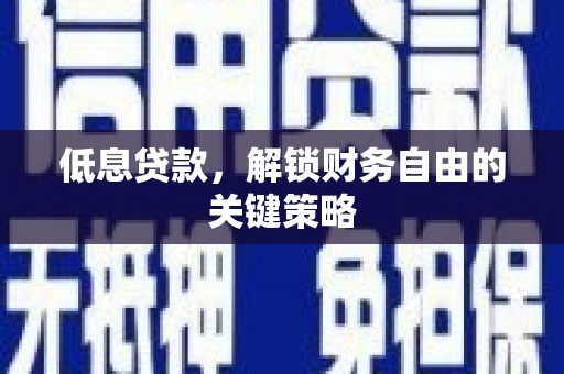 平舆低息贷款，解锁财务自由的关键策略