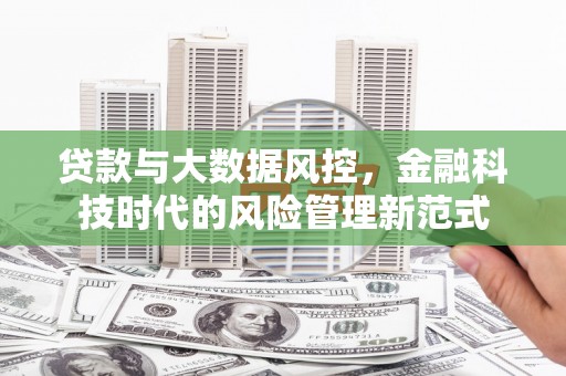 平舆贷款与大数据风控，金融科技时代的风险管理新范式