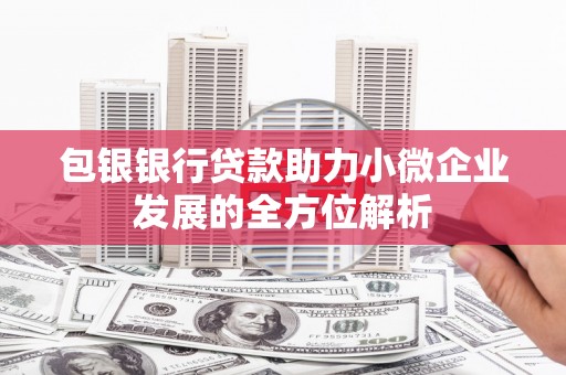 平舆包银银行贷款助力小微企业发展的全方位解析