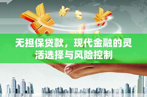 平舆无担保贷款，现代金融的灵活选择与风险控制