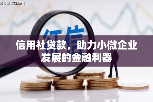 平舆信用社贷款，助力小微企业发展的金融利器