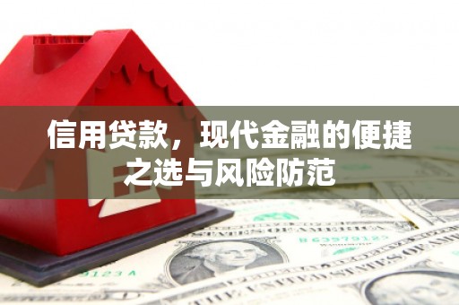 平舆信用贷款，现代金融的便捷之选与风险防范