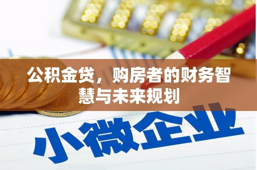 平舆公积金贷，购房者的财务智慧与未来规划
