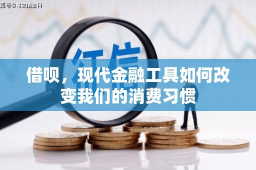 平舆借呗，现代金融工具如何改变我们的消费习惯
