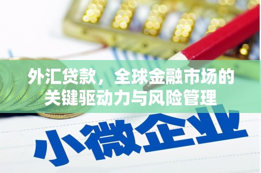 平舆外汇贷款，全球金融市场的关键驱动力与风险管理