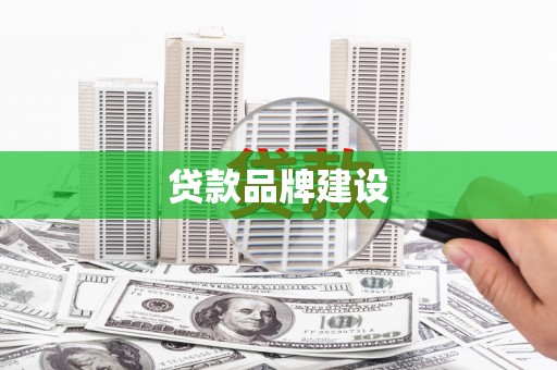 平舆贷款品牌建设