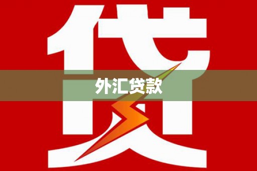 平舆外汇贷款