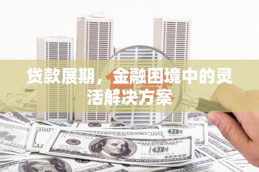 平舆贷款展期，金融困境中的灵活解决方案
