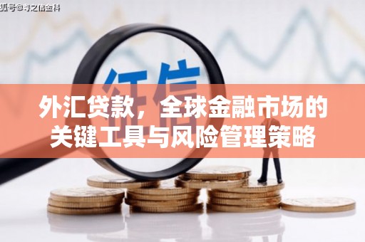 平舆外汇贷款，全球金融市场的关键工具与风险管理策略