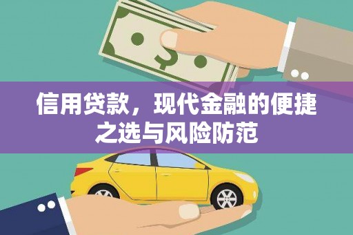 平舆信用贷款，现代金融的便捷之选与风险防范