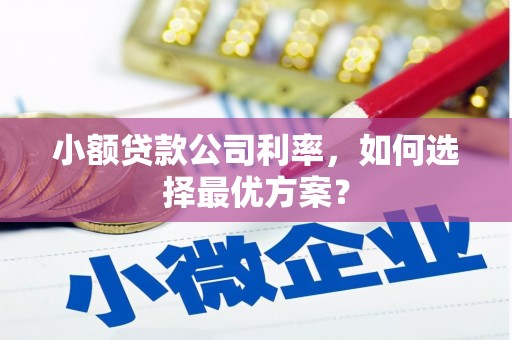 平舆小额贷款公司利率，如何选择最优方案？