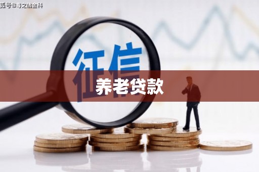 平舆养老贷款